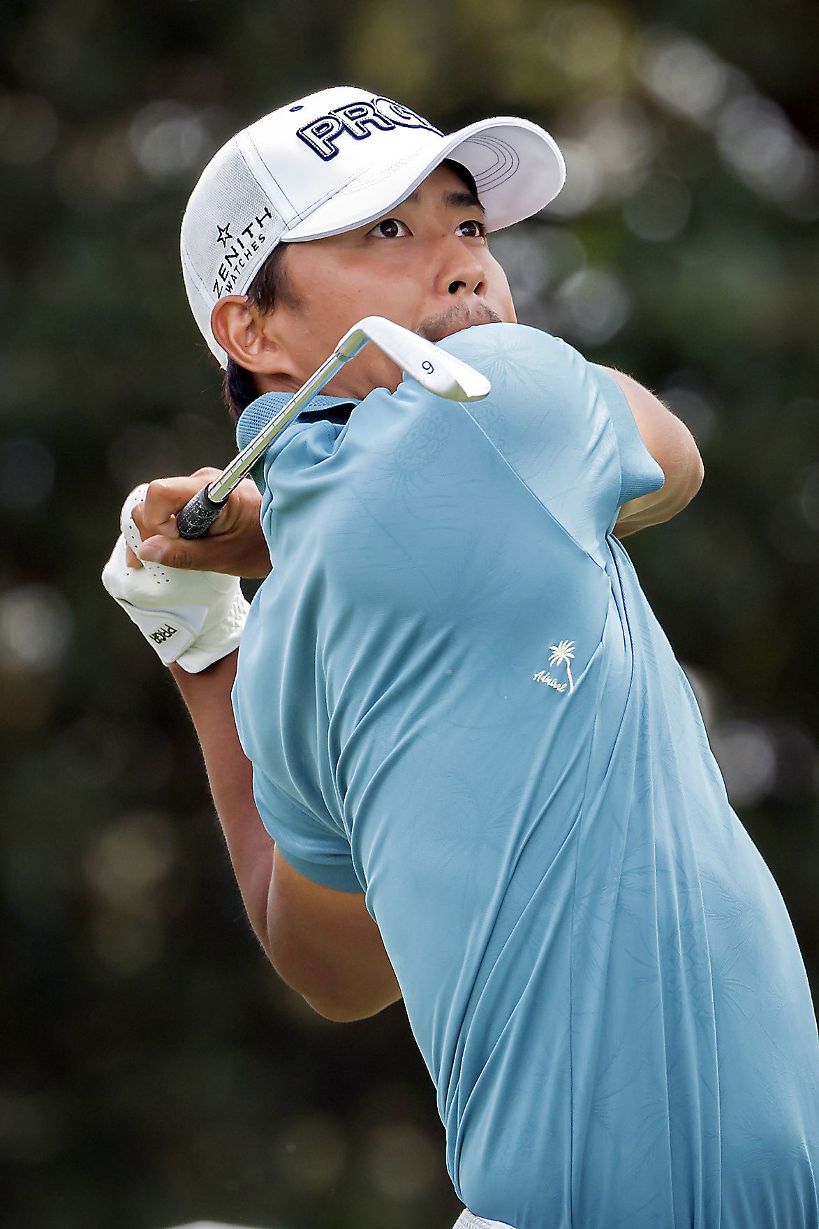 RBC Heritage Golf